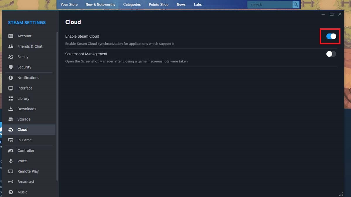 Enable Steam cloud saves