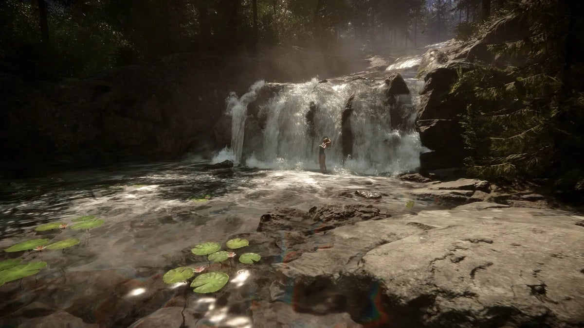 A shaded short waterfall in the forest.