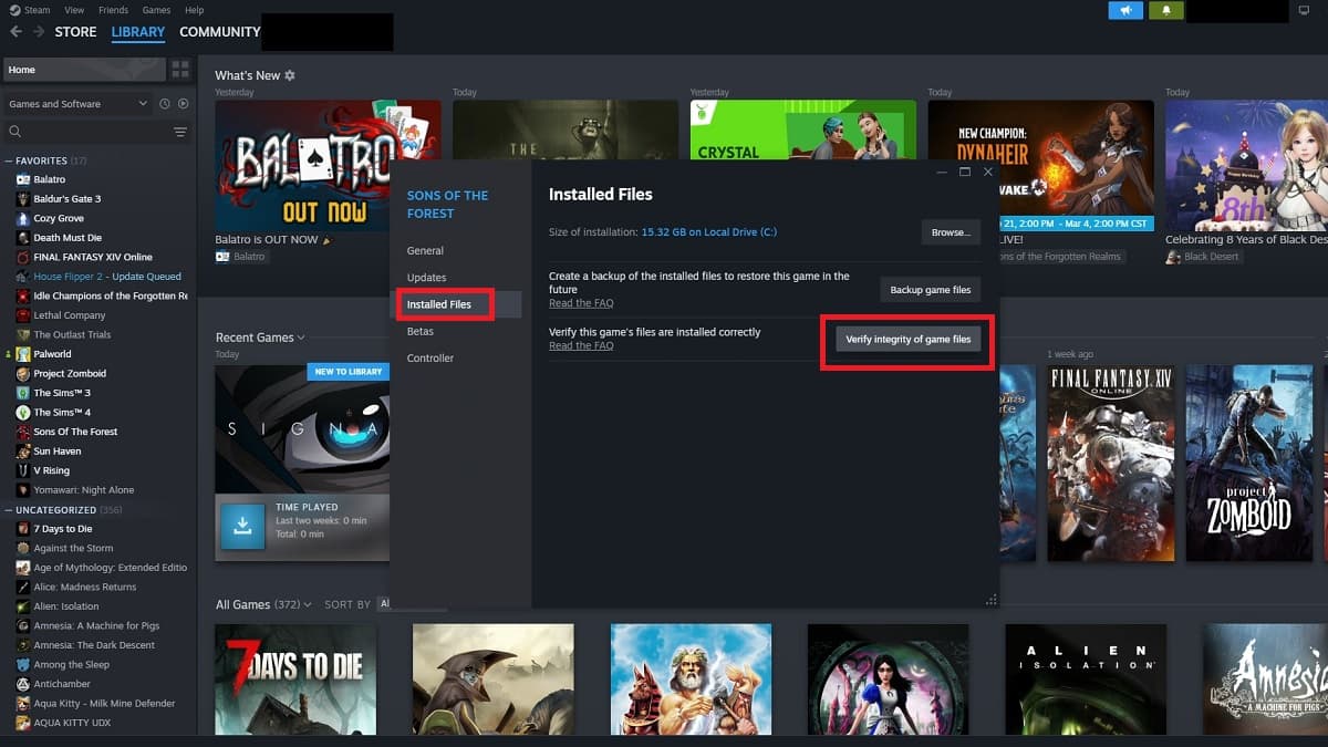 Steam file verification menu