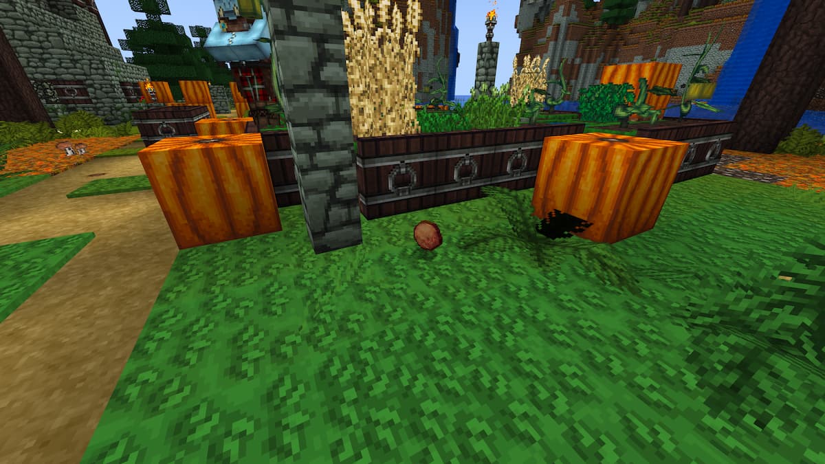 A potato near pumpkins on grass.