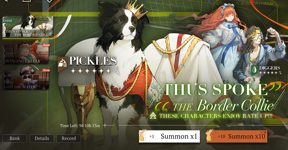 Pickles the border collie wearing a crown and red cape.