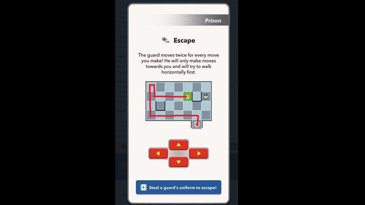 BitLife Prison Grid