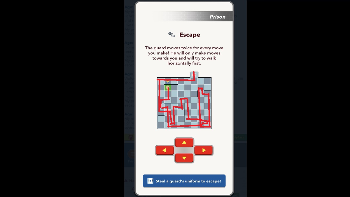 BitLife Prison Grid