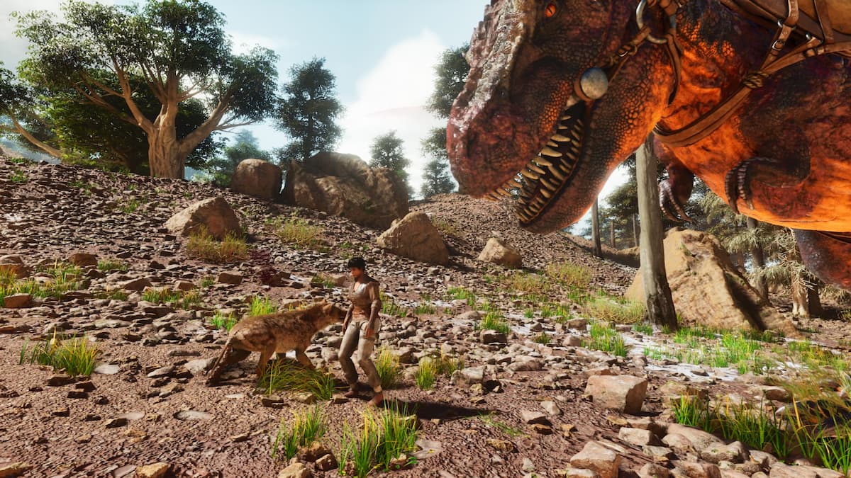 Tamed Rex looking at a Hyenaedon.