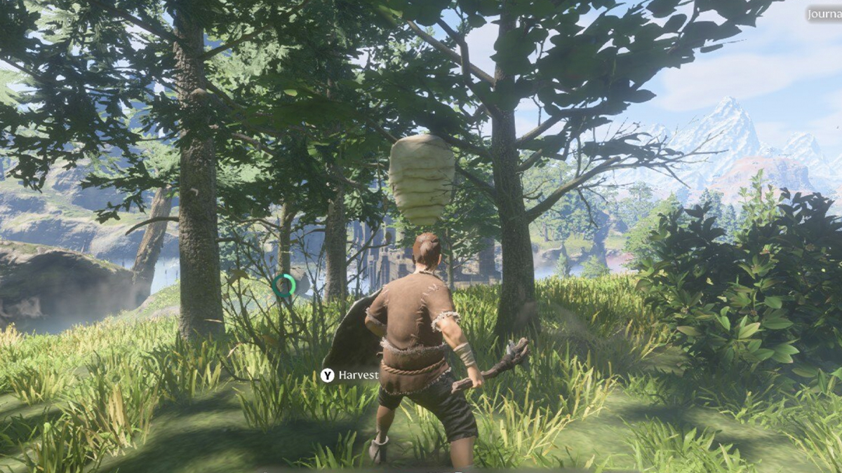 bee hive on a tree with player standing in front