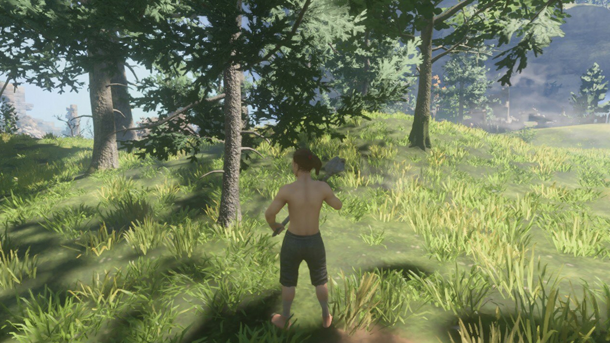 Player standing in front of small tree holding an axe