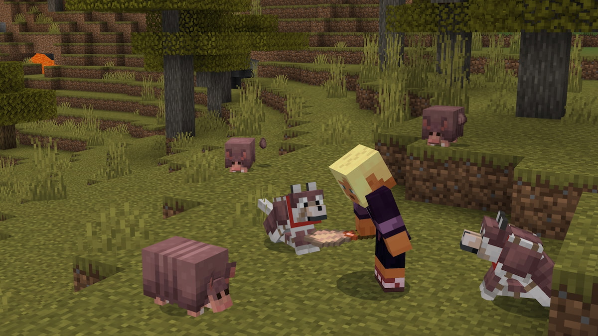 A Minecraft player surrounded by a Wolf and four Armadillos with the old design.