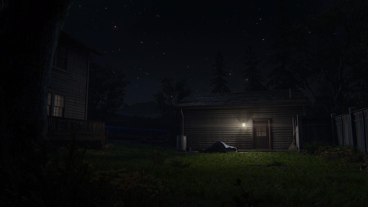 Exterior shot of Ellie's cabin in Jackson at night with a porch light on.