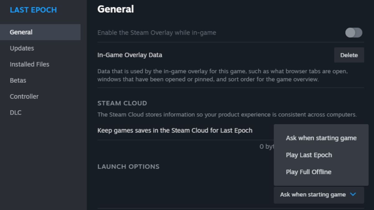 Last Epoch steam preferences.