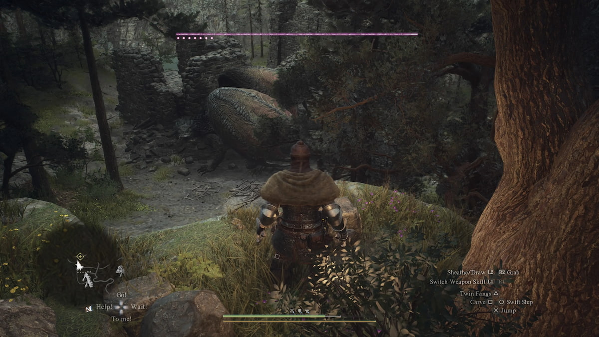 dragon's dogma 2 thief looking at a dormant drake