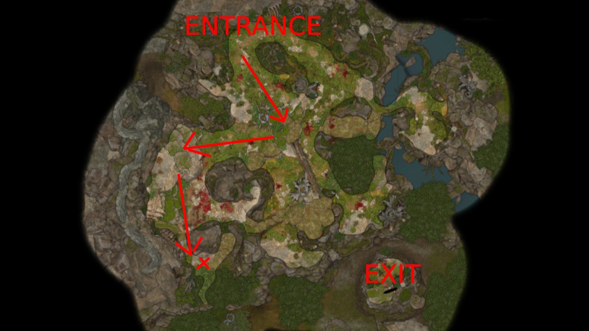 band of the mystic scoundrel location in a bag in baldur's gate 3 in the jungle