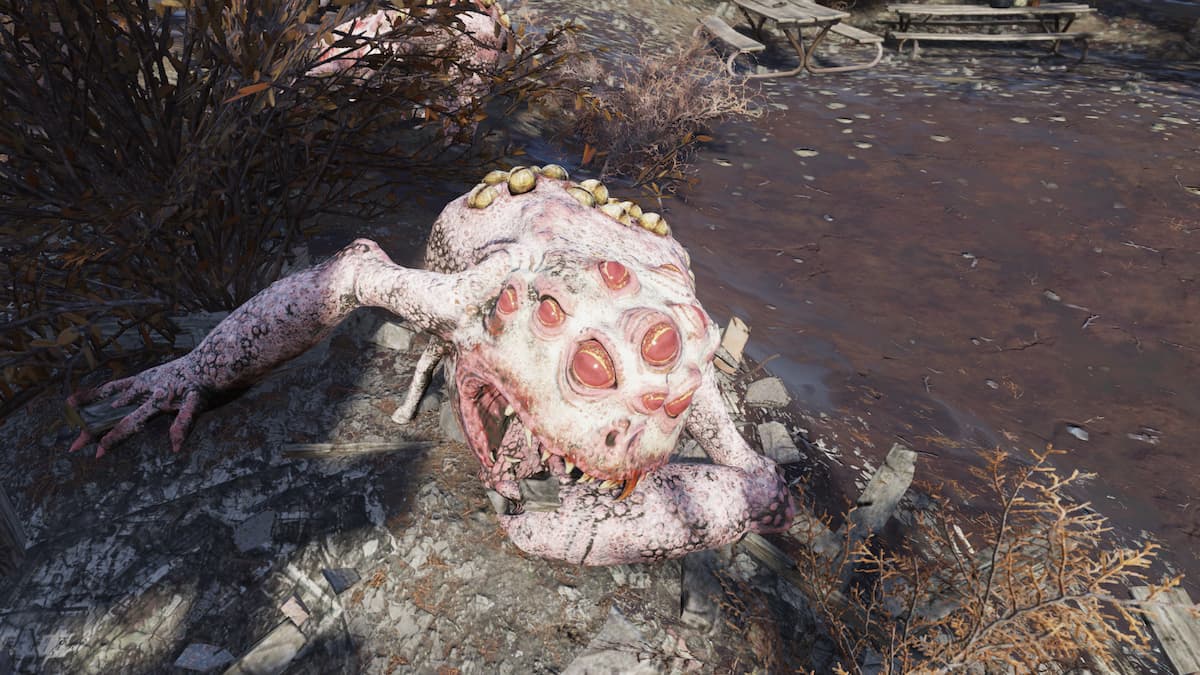 Dead Albino Radtoad at the Sludge Hole.