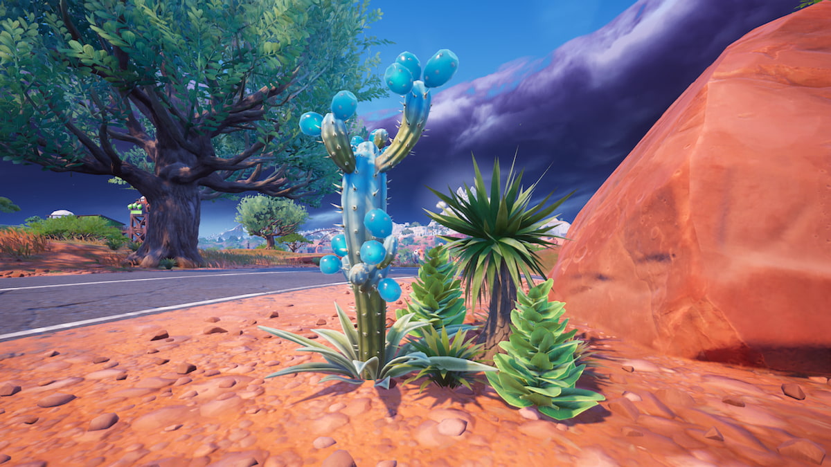 Slurp Cactus in desert biome of Fortnite Chapter 5 Season 3