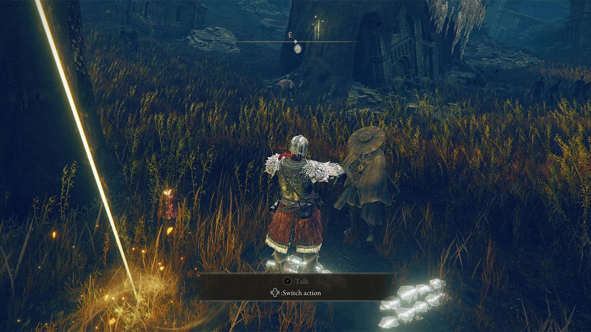 Using the May the Best Win gesture in front of Dryleaf Dane in Elden Ring Shadow of the Erdtree