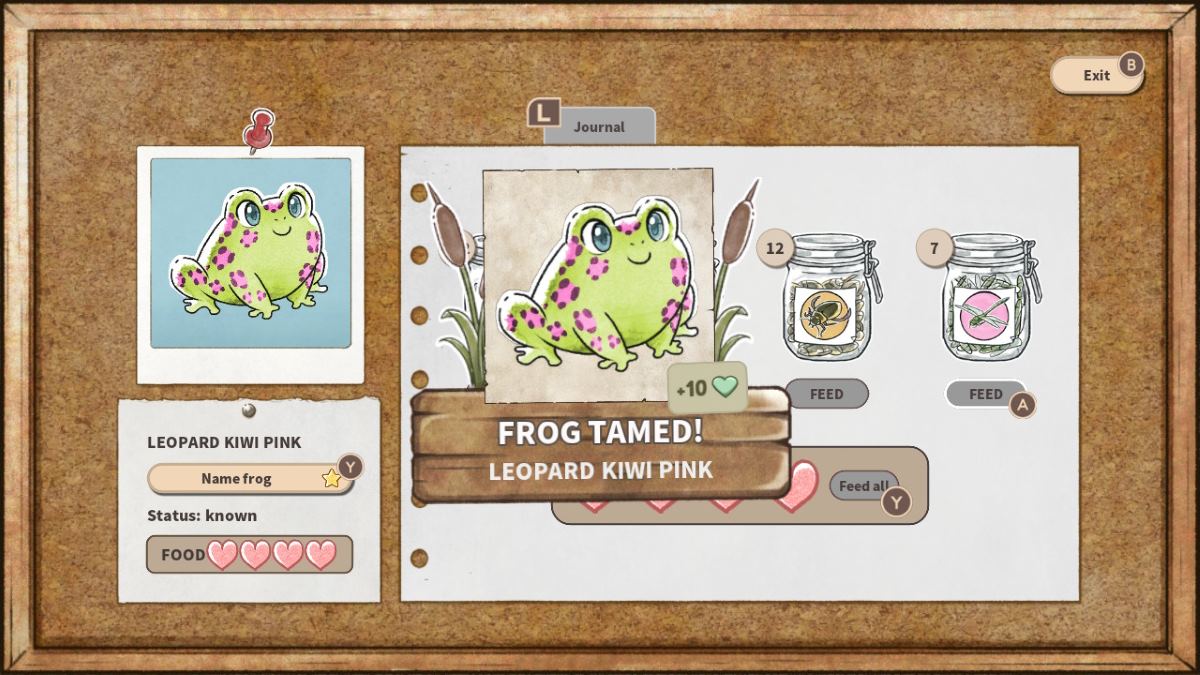 The Leopard Kiwi Pink frog is discovered in Kamaeru: A Frog Refuge