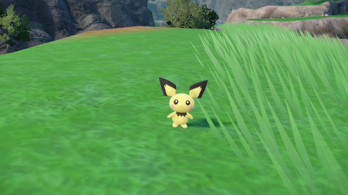 Close-up shot of Pichu in Pokemon Scarlet & Violet