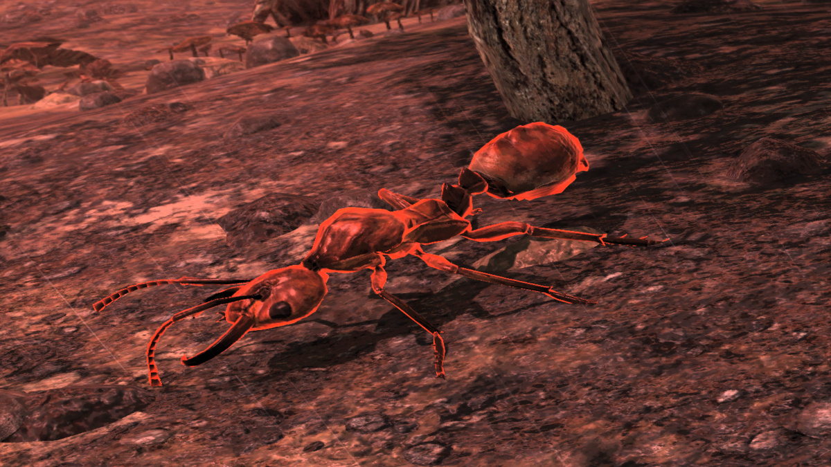 Taking a Camera Picture of an Ant in Fallout 76