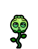 seedling morty