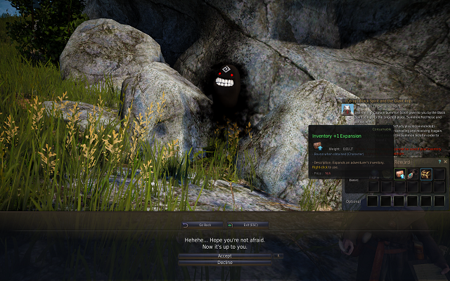 Black Desert Online Black Spirit Inventory Quests