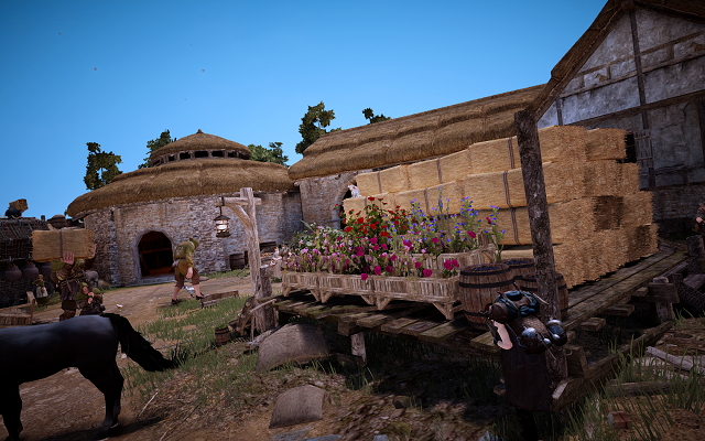 Black Desert Online How to level Strength